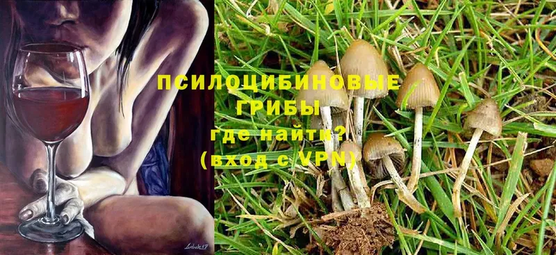 Псилоцибиновые грибы Magic Shrooms  сколько стоит  блэк спрут tor  Воронеж 