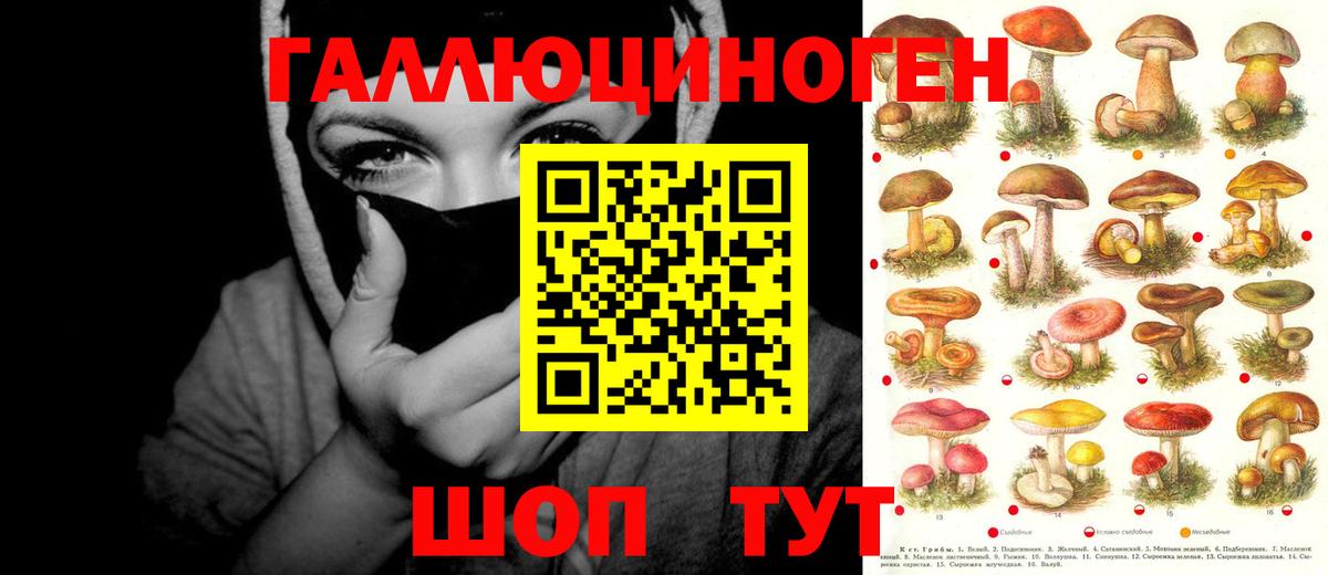 Галлюциногенные грибы GOLDEN TEACHER  Вход с VPN  Псилоцибиновые грибы мицелий  Воронеж 